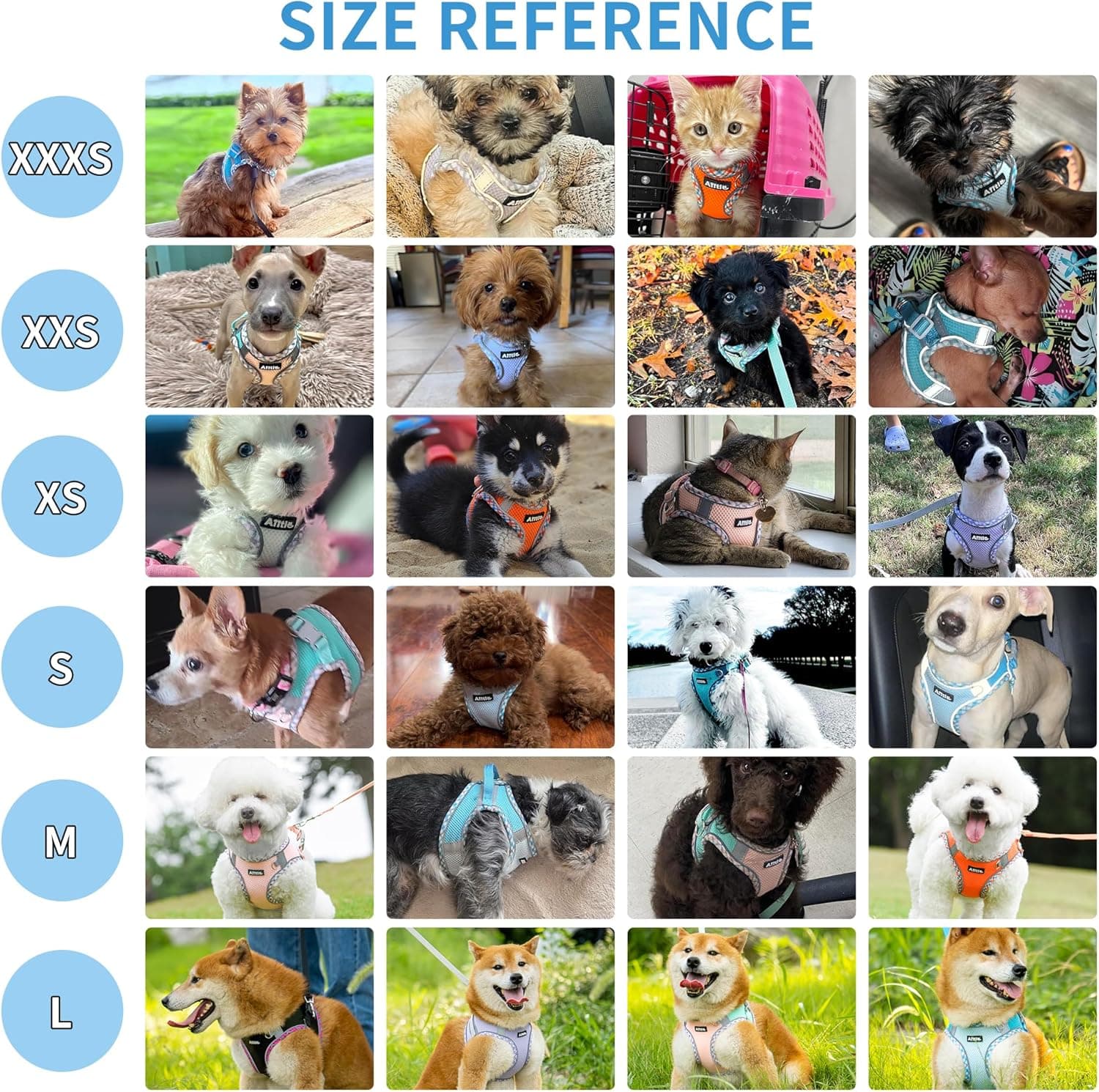 AIITLE Tiny Dog Harness - Lightweight Mesh Step-in Vest for Puppy, Reflective & Escape-Proof Design with High-Stick Magic Tape - Outdoor Use for Chihuahua, Maltese, Shih Tzu(Turquoise-Pink, XXXS) - Image 4