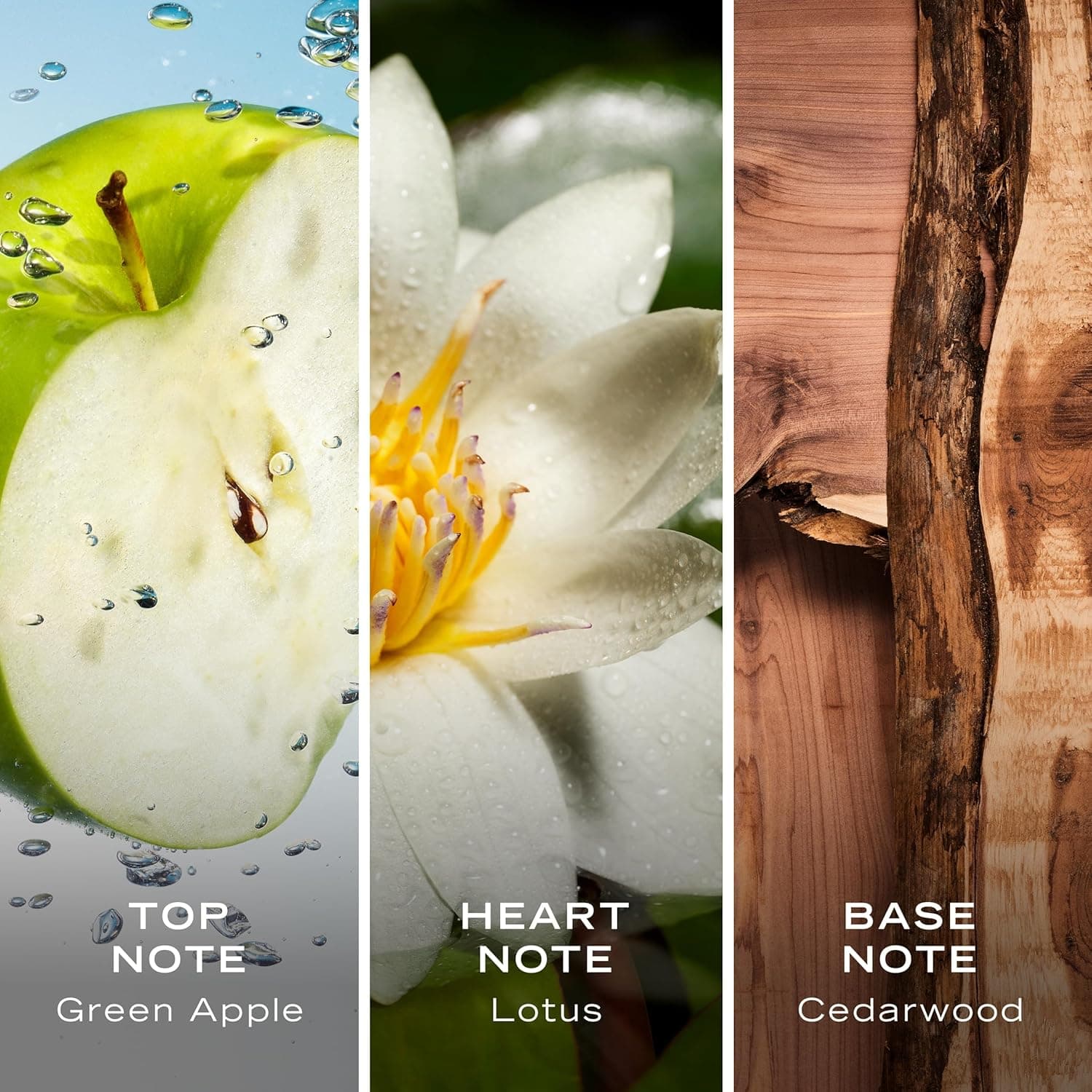 Nautica Voyage Eau De Toilette, Cologne at Pabango Para sa Lalaki, Sariwa, Romantiko, Prutas na Amoy na May Kahoy, Aquatic na Nota ng Apple, Water Lotus, Cedarwood, at Musk Ideal na Pagsusuot sa Araw, Matagal na Tumagal 3.3Fl oz Nautica Voyage 1 Count (Pack ng 1) - Image 7