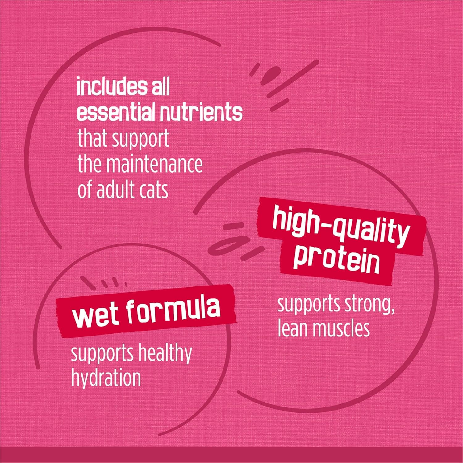 Purina Friskies Gravy Wet Cat Food Variety Pack, Surfin’ and Turfin’ Prime Filets Favorites - (Pack of 40) 5.5 oz. Cans Chicken, Ocean Whitefish & Tuna, Salmon & Beef, Chicken & Tuna 5.5 Ounce (Pack of 40) - Image 10