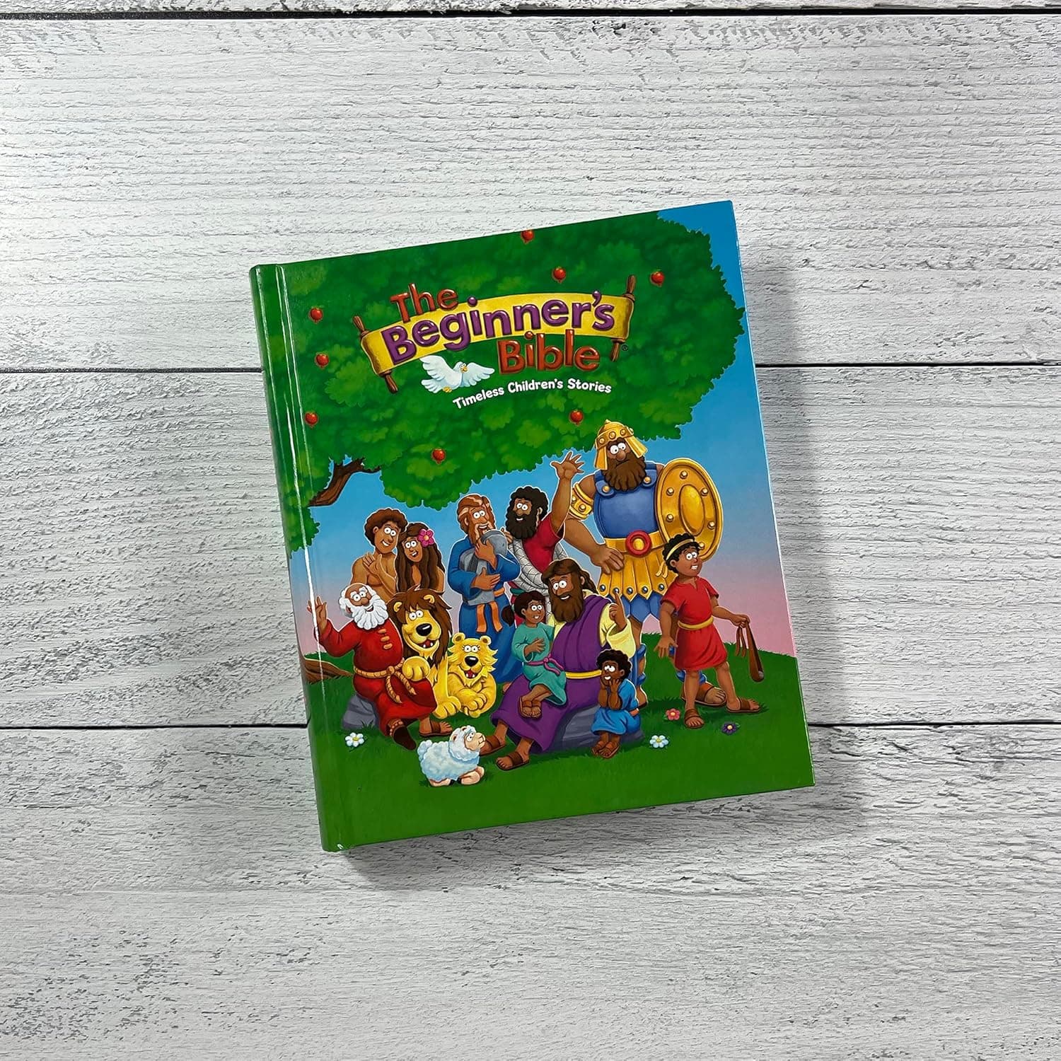 The Beginner's Bible: Timeless Children's Stories - Image 21