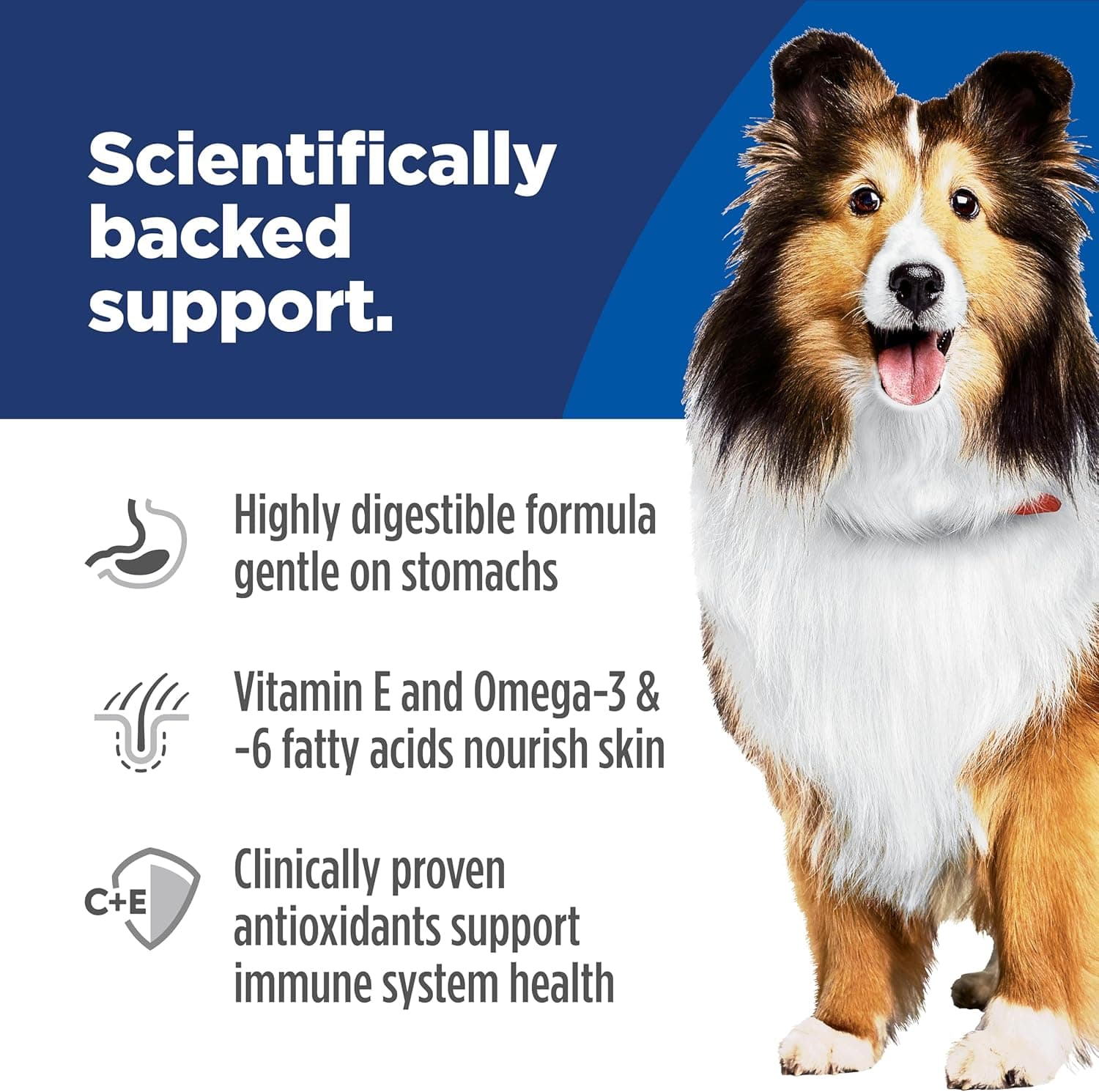 Hill's Science Diet Sensitive Stomach & Skin, Adult 1-6, Stomach & Skin Sensitivity Support, Dry Dog Food, Chicken Recipe, 30 lb Bag Chicken 30 Pound (Pack of 1) - Image 5