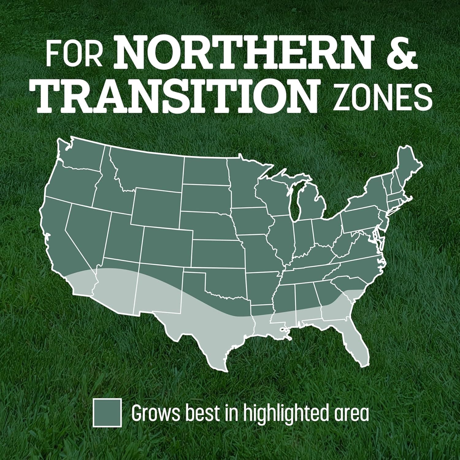 Pennington Kentucky 31 Tall Fescue Penkoted Grass Seed 3 lb - Image 8