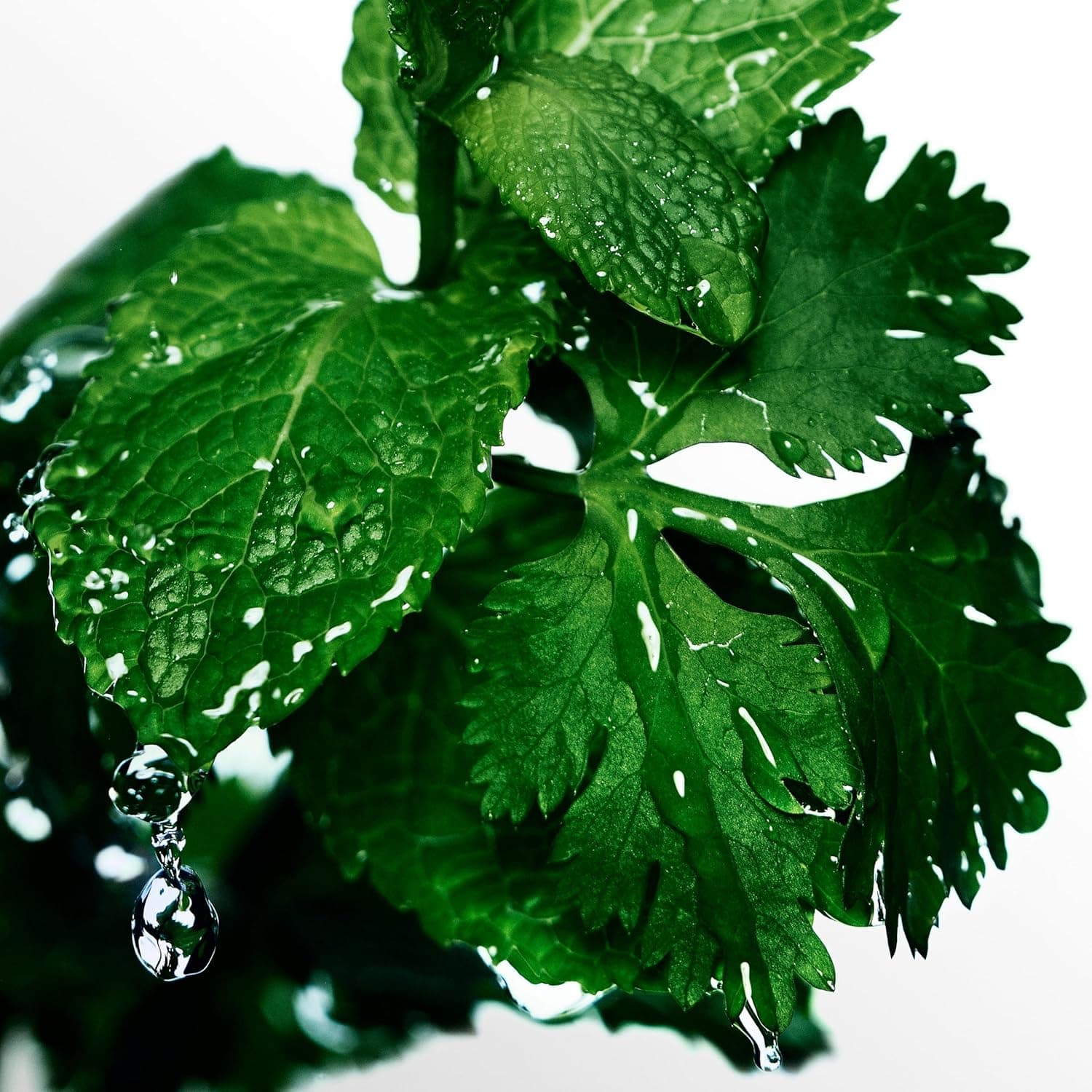 Davidoff Cool Water Eau de Toilette – Aromatic Men's Cologne – With Notes of Coriander, Mint, Lavender & Amber – Long Lasting Fragrance 2.5 Fl Oz - Image 7