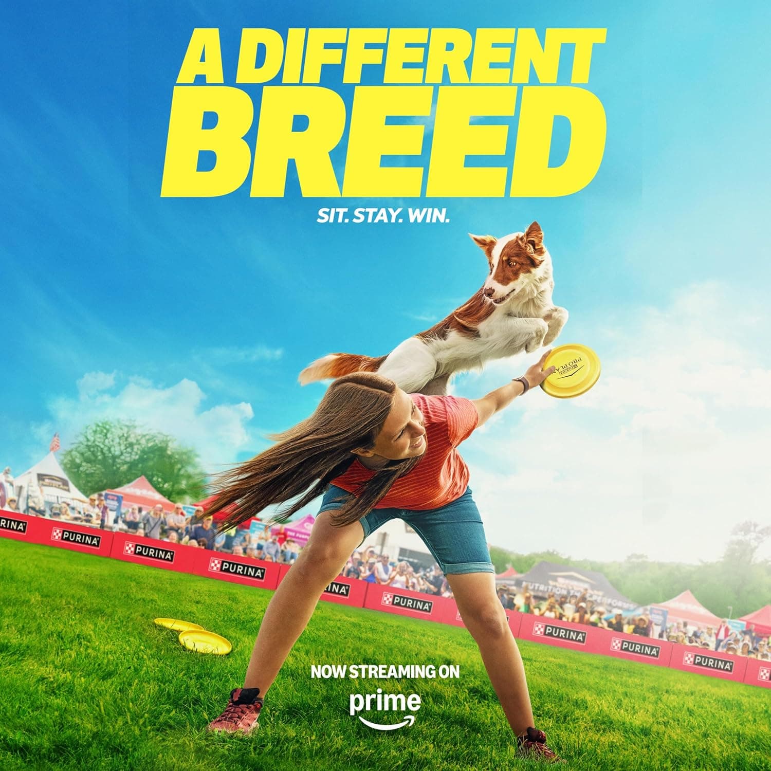 Purina Pro Plan Small Breed Dog Food With Probiotics for Dogs, Shredded Blend Chicken & Rice Formula - 6 lb. Bag Chicken & Rice Shredded Blend 6 Pound (Pack of 1) - Image 3