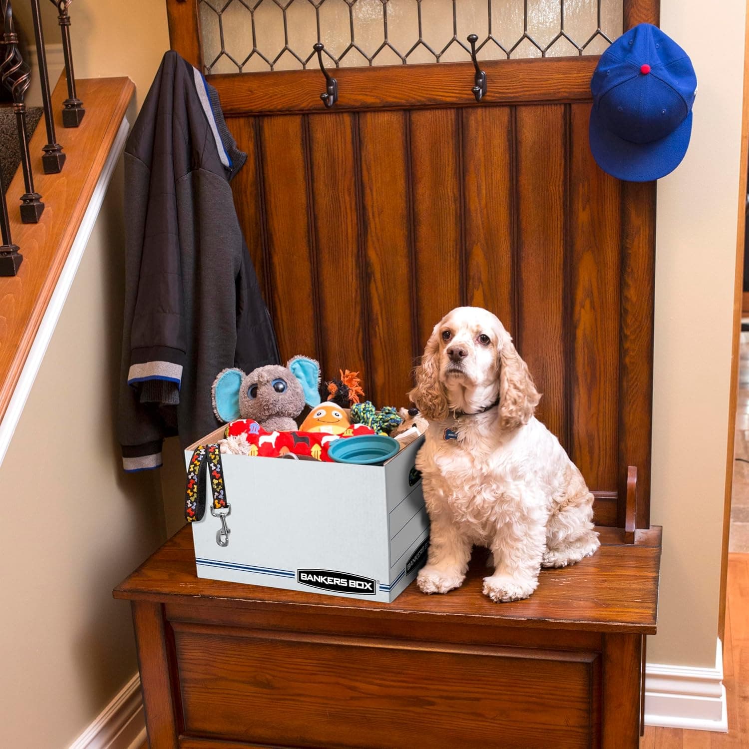 Bankers Box 12 Pack Standard Duty File Storage Boxes, Standard Assembly, Removable Lid, Letter/Legal (0071301) - Image 8