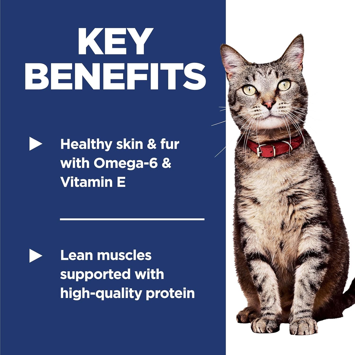 Hill's Science Diet Adult 1-6, Nutrición Premium para Adultos 1-6, Comida Seca para Gatos, Receta de Pollo, Bolsa de 4 lb - Image 5