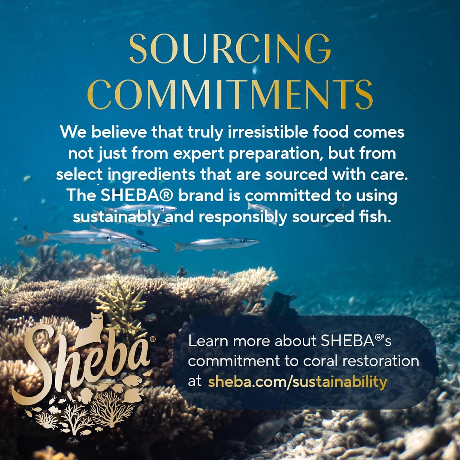 Sheba Perfect Portions Kitten Wet Cat Food Pate Chicken Entree, Salmon Entree, and Turkey Entree, 2.6 oz. Twin-Pack Trays (24 Count, 48 Servings) Chicken, Salmon & Turkey 24 Count (Pack of 1) - Image 10