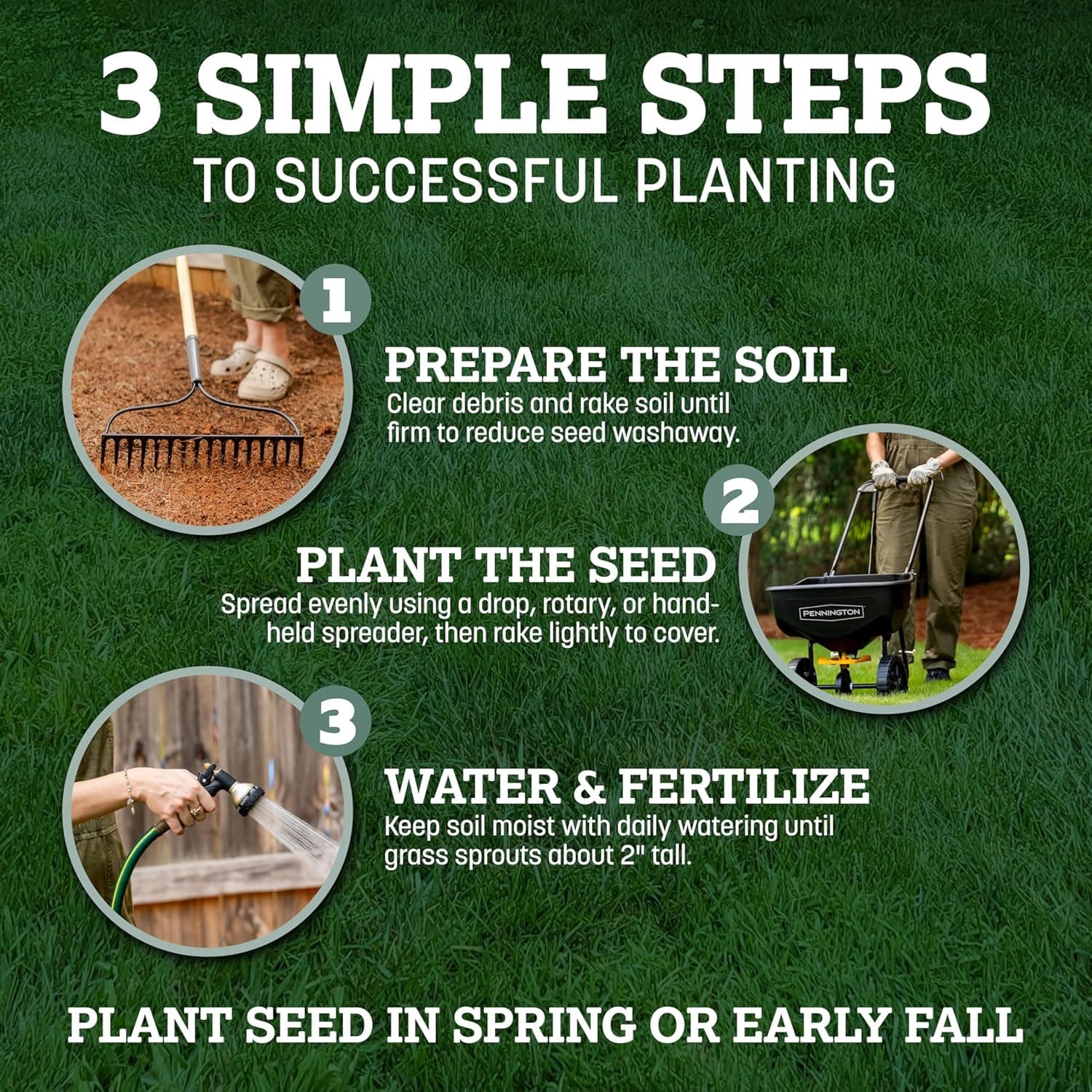 Pennington Kentucky 31 Tall Fescue Penkoted Grass Seed 3 lb - Image 9