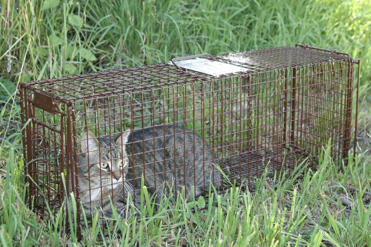 Tru Catch 30LTD Humane Live Animal Trap - Easy & Safe Catch & Release for Cats, Rabbits, & Other Small Animals - Durable Light Duty TNR - (30" L x 11" H x 9" W) - Image 3