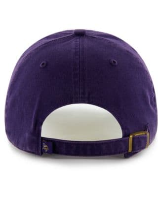 NFL Hat, Minnesota Vikings Franchise Hat - Image 2