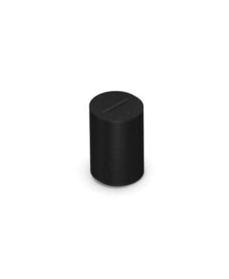 Era 100 Wireless, Smart Speaker