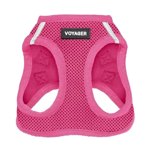 Best Pet Supplies Voyager Step-in Air Harness - All Weather Mesh, Reflective, No Pull Harness for Dogs, Cats - Secure with Hook & Loop Fastener, Buckle, Double D-Rings - Fuchsia, M