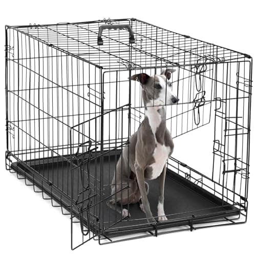 DUMOS Dog Crate, 36 Inch Medium Double Door Dog Cage with Divider Panel and Plastic Leak-Proof Pan Tray, Folding Metal Wire Pet Kennel for Indoor, Outdoor, Travel