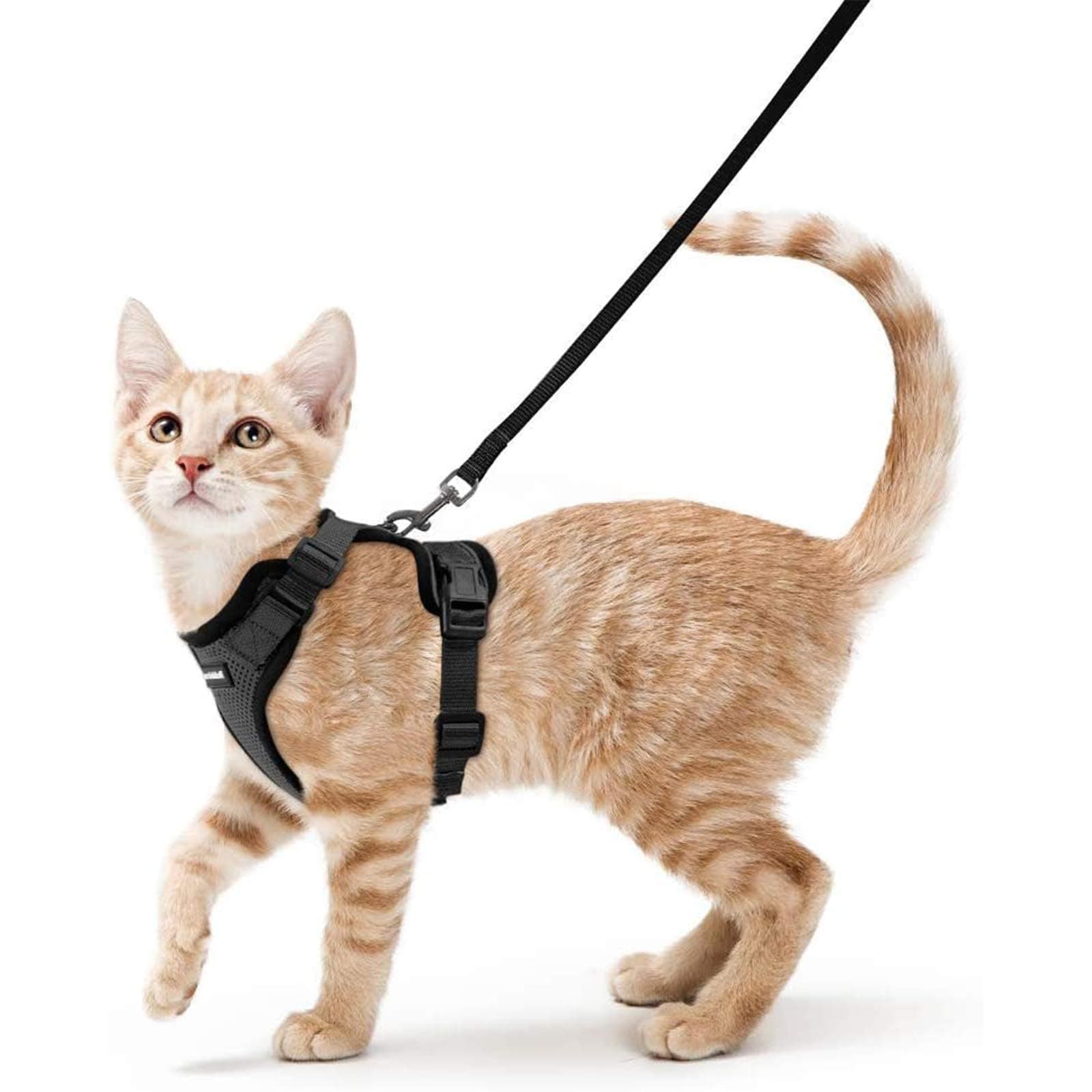 rabbitgoo Cat Harness and Leash for Walking, Escape Proof Soft Adjustable Vest Harnesses for Cats, Easy Control Breathable Reflective Strips Jacket, Black, XS XS Black
