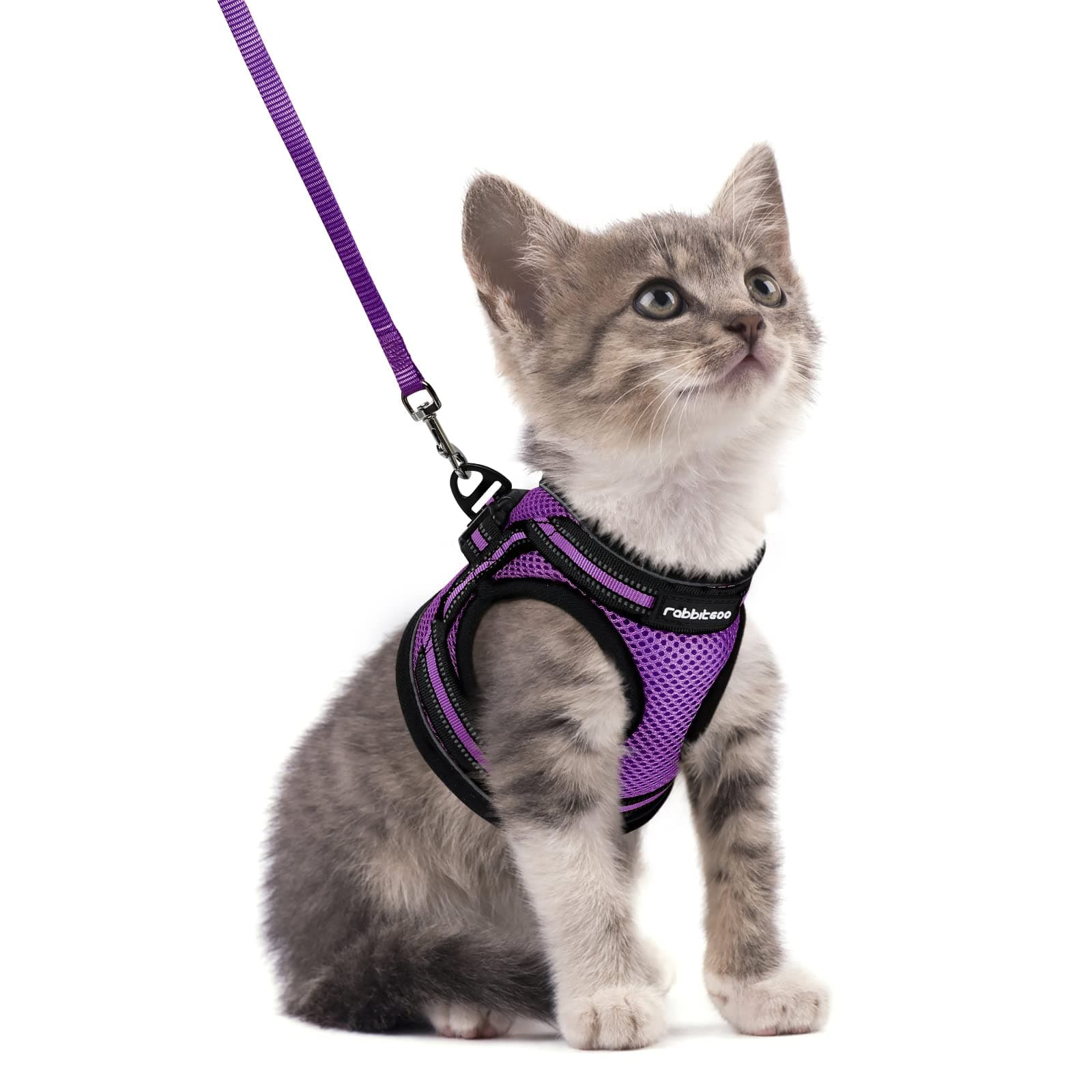 rabbitgoo Cat Harness and Leash Set for Walking Escape Proof, Adjustable Soft Kittens Vest with Reflective Strip for Cats, Comfortable Outdoor Vest, Purple, S Small Purple
