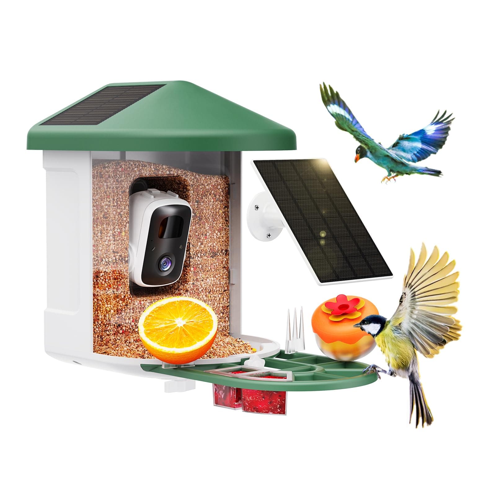 Bird Feeder with Camera with AI Identify Birds Species Solar Panel, Smart Bird House with Cam, 2K Live View, Instant Arrival Alerts Green