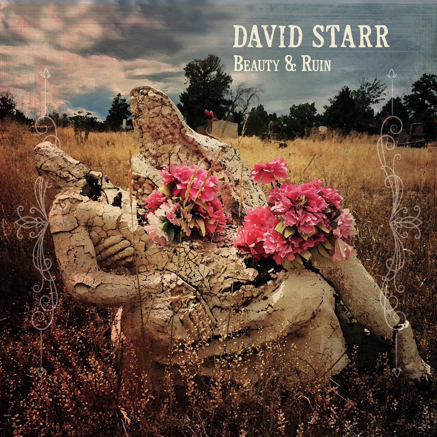 David Starr - Beauty & Ruin - COMPACT DISCS