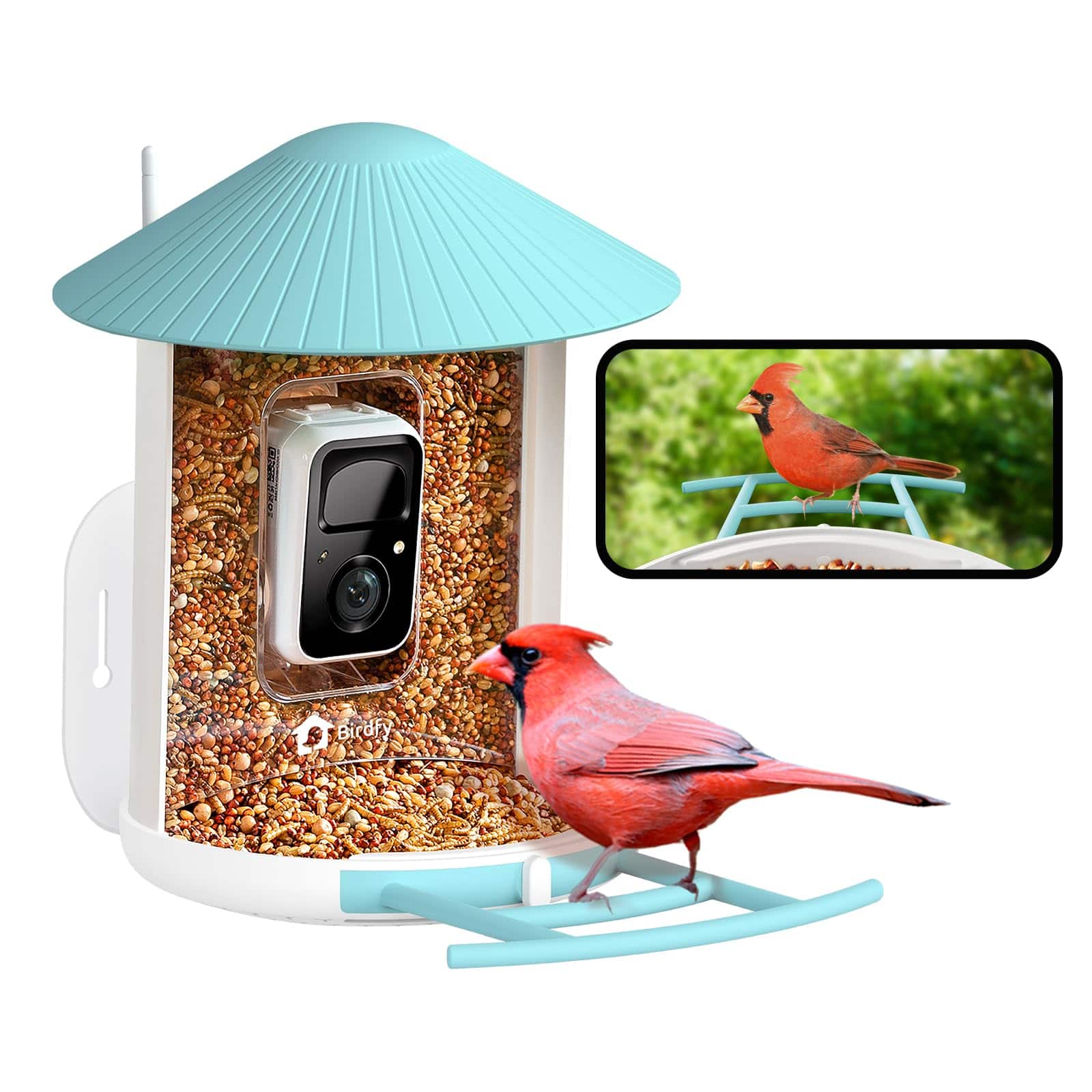 BIRDFY - Smart Bird Feeder with Camera, AI Bird Recognition (7-Day Free Trial), HD Video for Backyard Birdwatching - Blue